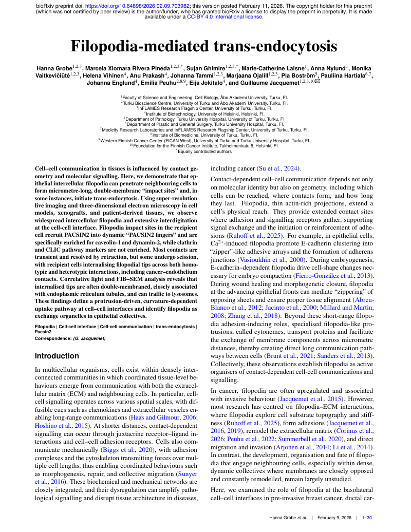Filopodia-mediated trans-endocytosis